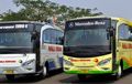 Bus Diusulkan Ganti Angkut Barang Jika Tak Boleh Bawa Penumpang Saat PSBB