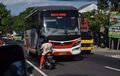 Sopir Kijang Innova Hadang Bus Ngeblong di Lumajang, Penumpang Turun dan Gedor Kaca Bus