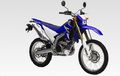 Yamaha Diam-diam Punya Jagoan Trail 250 cc, Berikut Ini Spesifikasinya...