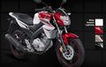 Otoseken: Yamaha V-ixion Lightning Idola Sport Non Fairing