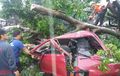 Mengerikan! Pohon Tumbang di Bogor Timpa 6 Kendaraan Sekaligus