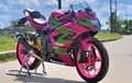 Kawasaki Ninja RR Mono, Pilih Warna Belang Sebagai Identitas