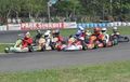 Pemula Bertambah  40 Persen di Rotax Max Challege 2013