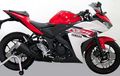 Ini Spesifikasi Lengkap Yamaha R25, Powernya Capai 35,5 DK!