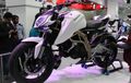 Hasil Kerjasama Perdana TVS dan BMW, Jadi Motor Street Fighter 300cc!