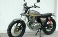 Suzuki Thunder 250, Street Tracker Rasa Crosser