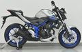 Ini Spesifikasi Lengkap Yamaha MT-25, Sebelas Duabelas Sama YZF-R25