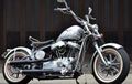 Harley-Davidson Sportster, Simplisitas Aluminium