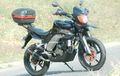 Honda Tiger 2000, Spesial Turing Nih!