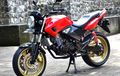 Honda Tiger, Bodi Standar, Asal...