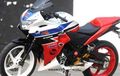Honda CBR 250R, Racing Look 300 cc