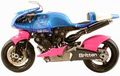 Britten (New Zealand), V-Twin 1000 cc Legendaris