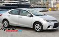 Toyota Corolla Ungguli Ford Focus Dalam Penjualan Global di 2013