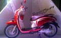 Resmi Dilaunching, Scoopy FI Dijual Rp 13,9 Juta