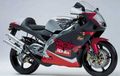 Aprilia RS 250 (Italia), 2 Silinder 2 Tak 209 km/jam