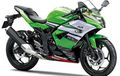 Warna Baru Kawasaki Ninja RR Mono, Ala World Superbike!