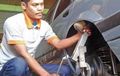 Gerai Body Repair Jagonya Roll Fender