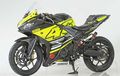 Modifikasi Yamaha YZF-R25, Modifikasi Untuk Sang Juara