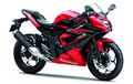Kawasaki Fokus Genjot Penjualan RR Mono Sebagai Pengganti Ninja RR 2-tak