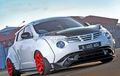 Nissan Juke 2011 The Classy Show Off