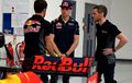 Kenapa Red Bull Pilih Verstappen Gantikan Kvyat?