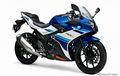 Mengaspal di Jepang, Suzuki GSX-250R Dibanderol Rp 61 Jutaan