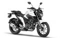 Yamaha FZ25 Dipasarkan Bulan Februari, Harga Rp 23 Jutaan!  