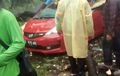 Honda Jazz Hancur di Depok, Tertindih Pohon Besar Tumbang 