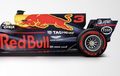 Identitas Baru di Sirip Hiu Mobil Tim Red Bull dan Mercedes