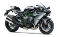 Cuma Ada Satu, Siapa Pemilik Kawasaki Ninja H2 Carbon di Indonesia? 