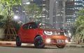 Selain Masa Honeymoon, Suzuki Ignis Kalahkan Penjualan Honda Brio RS Bisa Karena Sederet Hal Ini