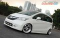 Modifikasi Honda Freed E 2013, Challenge Accepted!