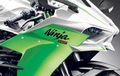 Ini Wajah Kawasaki Ninja H2 Versi Jalanan?