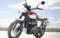 Ini Alasan Triumph Belum Masukan Scrambler ke Indonesia