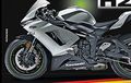 Seperti Inikah Tampang Ninja H2?