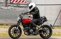 Nih Spy Shoot Utuh Ducati Scrambler, Pakai Mesin Monster 796?