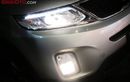 Wajib Tahu, 5 Tips Mengatur Sorot Lampu Mobil Agar Aman dan Nyaman