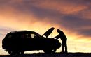 Jangan Anggap Enteng, Semut Bersarang di Mobil Bisa Bikin Mogok