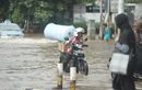 Sipa Tahu Membantu, Ini 8 Tips Kalau Terpaksa Terjang Banjir Pakai Motor