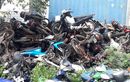 Ratusan Motor Terbengkalai di Penampungan Teluk Pucung Bekasi, Pemiliknya Siapa?