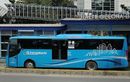 Manfaatkan, Ini 15 Golongan yang Gratis Naik MRT, LRT Sampai Transjakarta