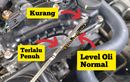 Nah, Ternyata Begini Cara Benar Cek Oli Mesin Mobil Pakai Dipstick