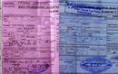 Dapat Surat Tilang Warna Merah? Waduh, Resikonya Ngga Main-main, Simak