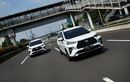 Harga Toyota di September 2025: Dompet Nggak Teriak, DP Cuma 10 Persen