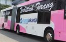 Transjakarta Tambah 10 Unit Armada Bus Pink, Beroperasi di Tiga Rute Ini