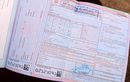 Perlu Tahu, Ini Yang Harus Dilakukan Saat Pengendara Minta Surat Tilang Merah