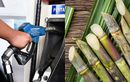 Biodiesel B50 Resmi Dijual, Menteri Bahlil Lanjut Kejar Target Mandatori Bioetanol E10-E20