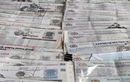 Warga Ibukota Full Senyum, Ada Pemutihan Pajak Mulai Juni Sampai Agustus