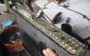 Ternyata Begini Ciri Radiator Motor Mampet, Awas Mesin Bisa Jebol!