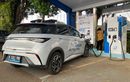 Berapa Banyak Motor dan Mobil Listrik di Indonesia? Segini Angkanya